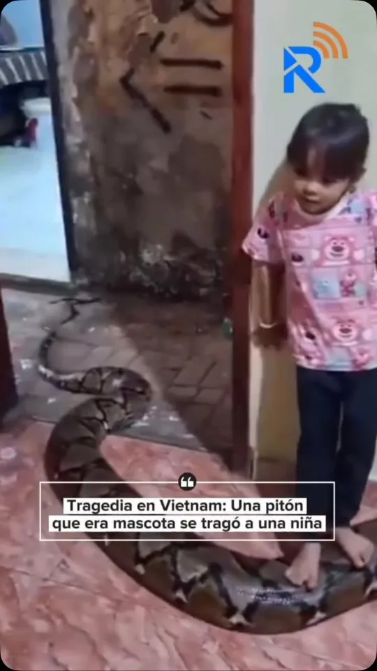 @nnd_media, reel de Mascotas