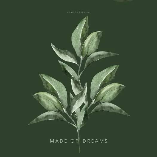 cover art for Made of Dreams