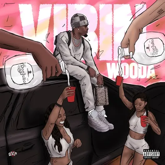 cover art for Vibin