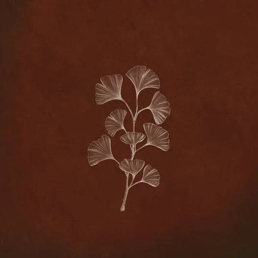carátula de «Autumn Journey»
